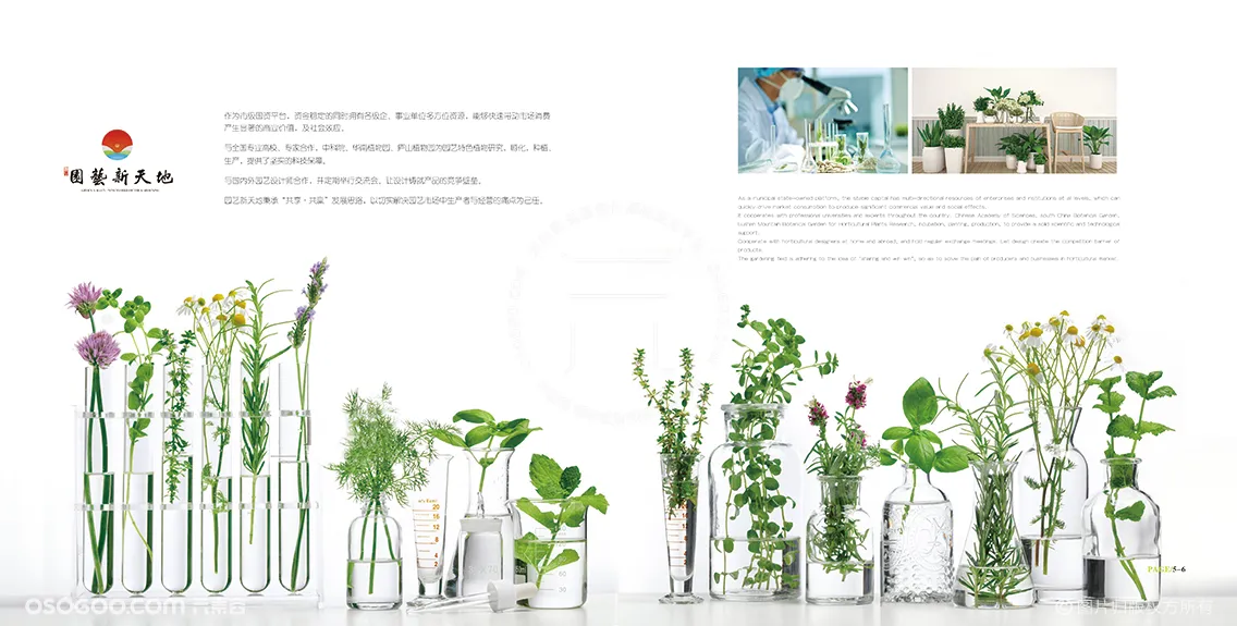 植物培育公司宣传册