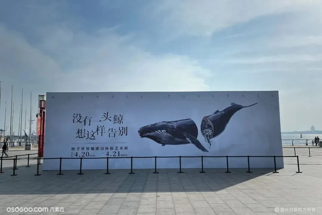 环保艺术展《没有一头鲸想这样告别》