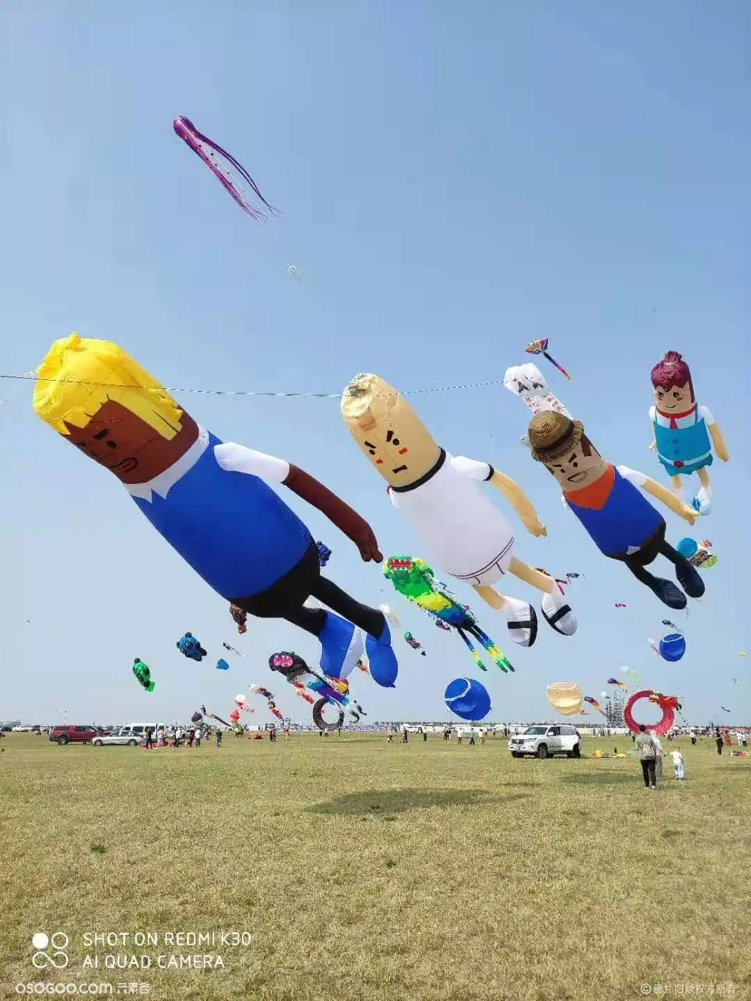 巨型风筝展 风筝美陈展览道具 厂家出售出租
