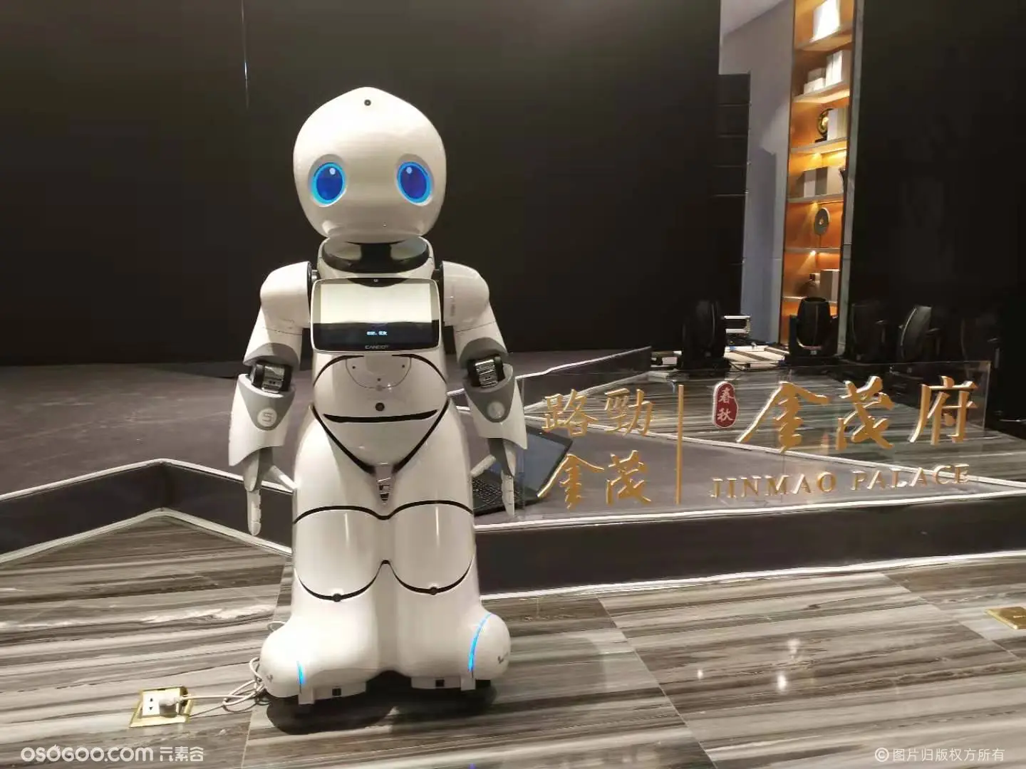 机器人租赁 主持迎宾机器人 科技展厅机器人