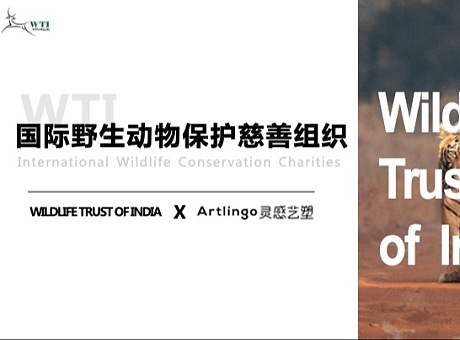 国际野生动物保护慈善组织资源展