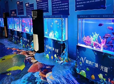 河南海洋展租赁四季海洋生物展览出租多款鱼类出租租赁
