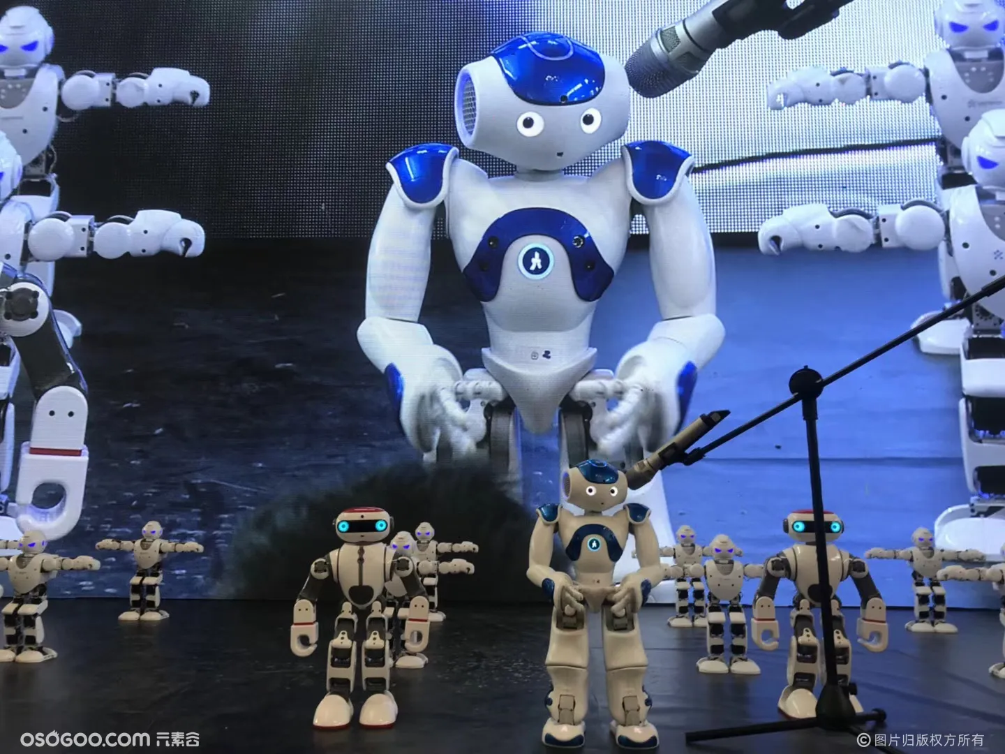 机器人表演、机器人商演、机器人嘉年华