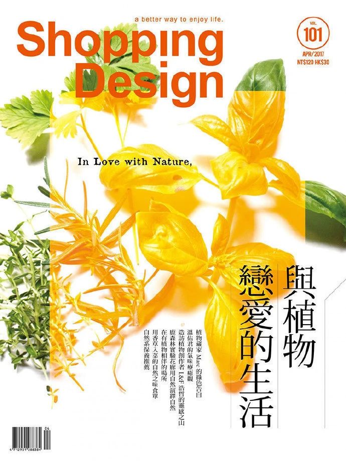 杂志封面版式设计