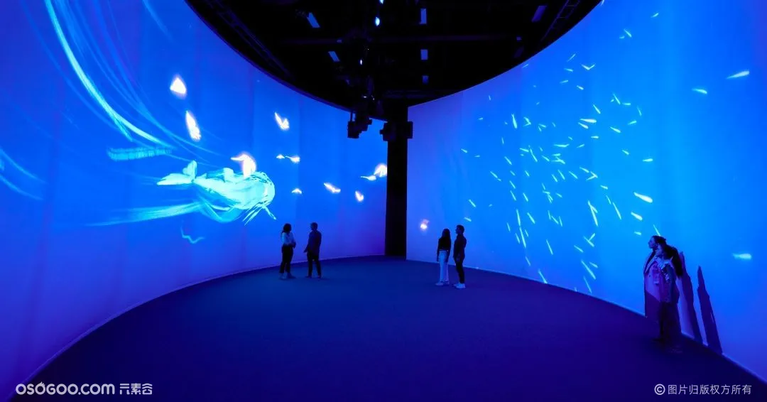 墨尔本博物馆TYAMA展，互动体验揭示大自然故事新视角