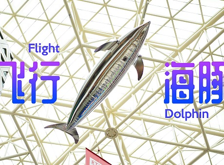遥控飞行海豚气模在宁波印象城上演 