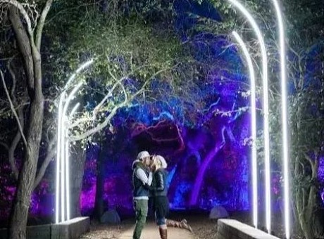 “光之森林”德斯坎索花园的夜间互动体验