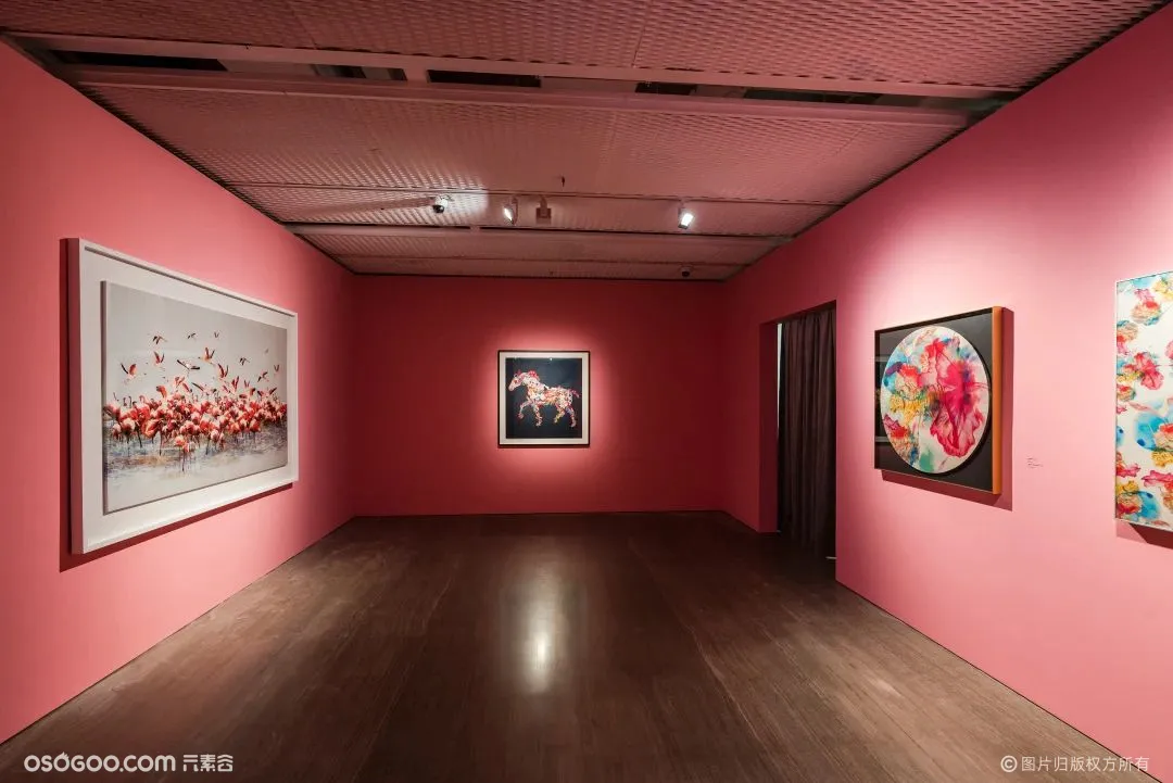 Jacky Tsai：《生活·范特西》上海首展