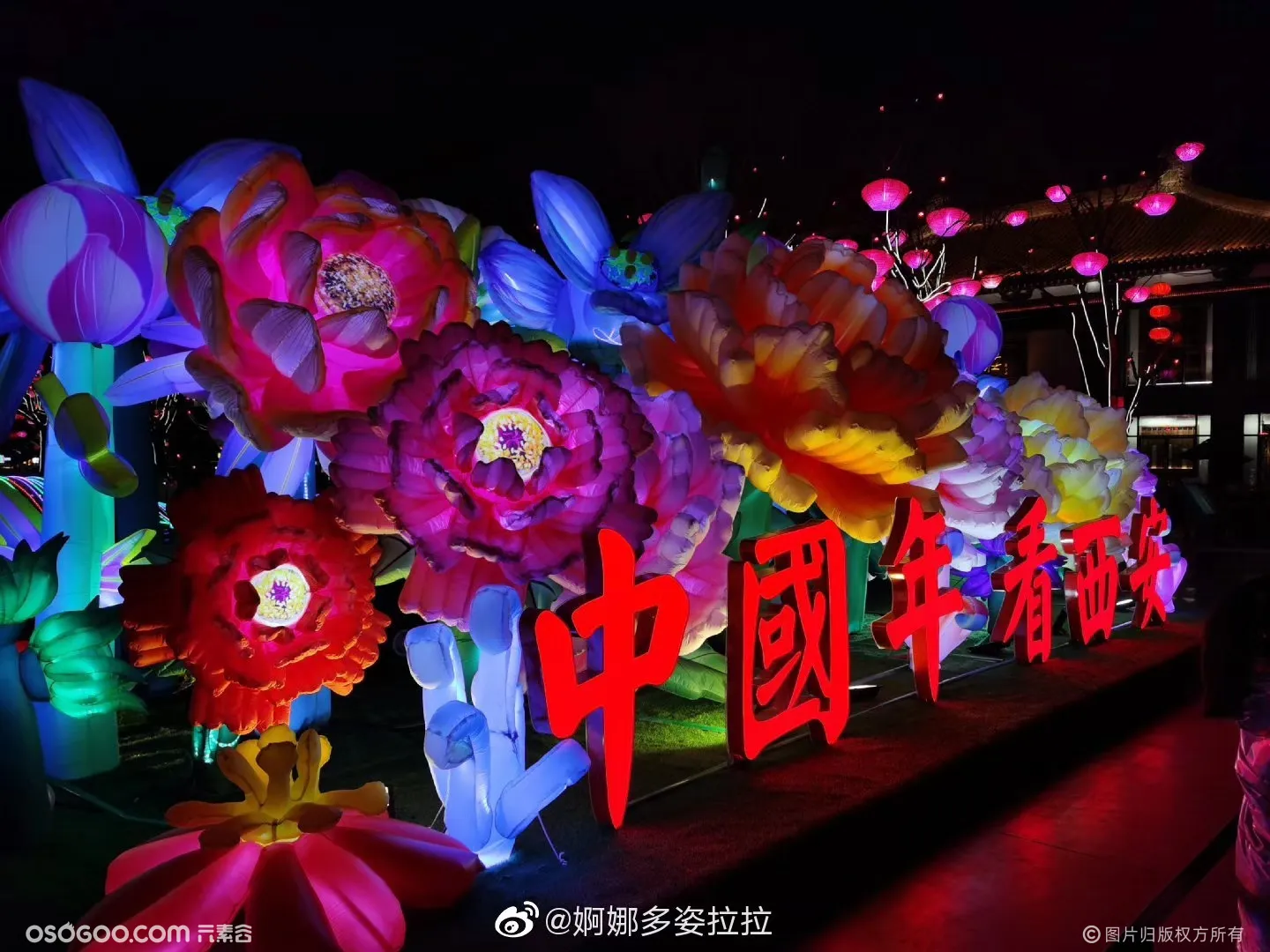 中国年看西安——花朵美陈装饰