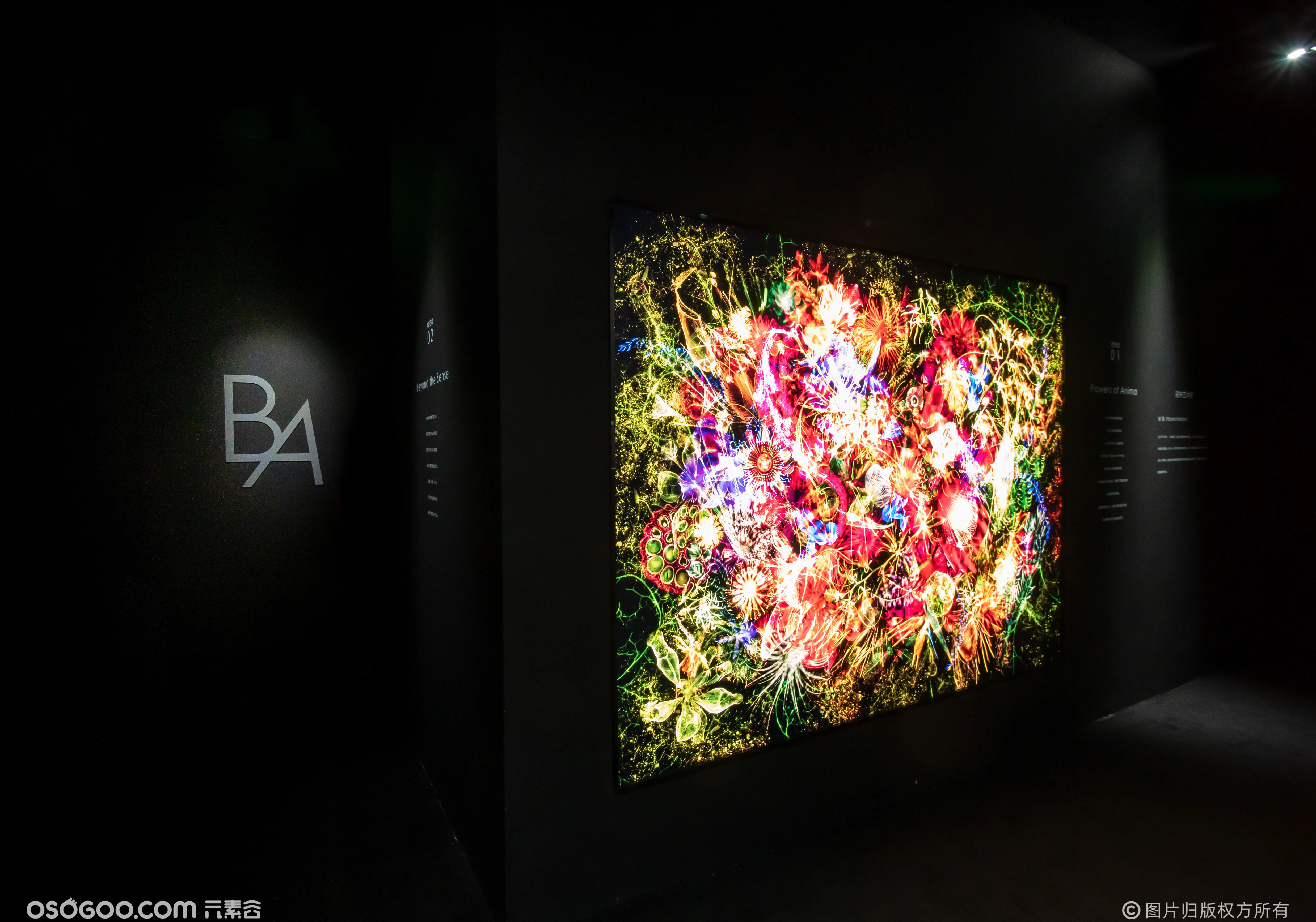 《B.A绽放生命之美》沉浸式艺术展