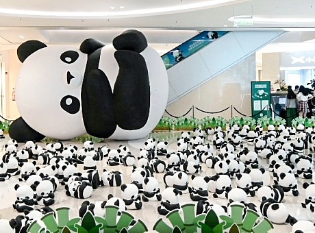2023「地球一小时」一起为野生大熊猫助力！