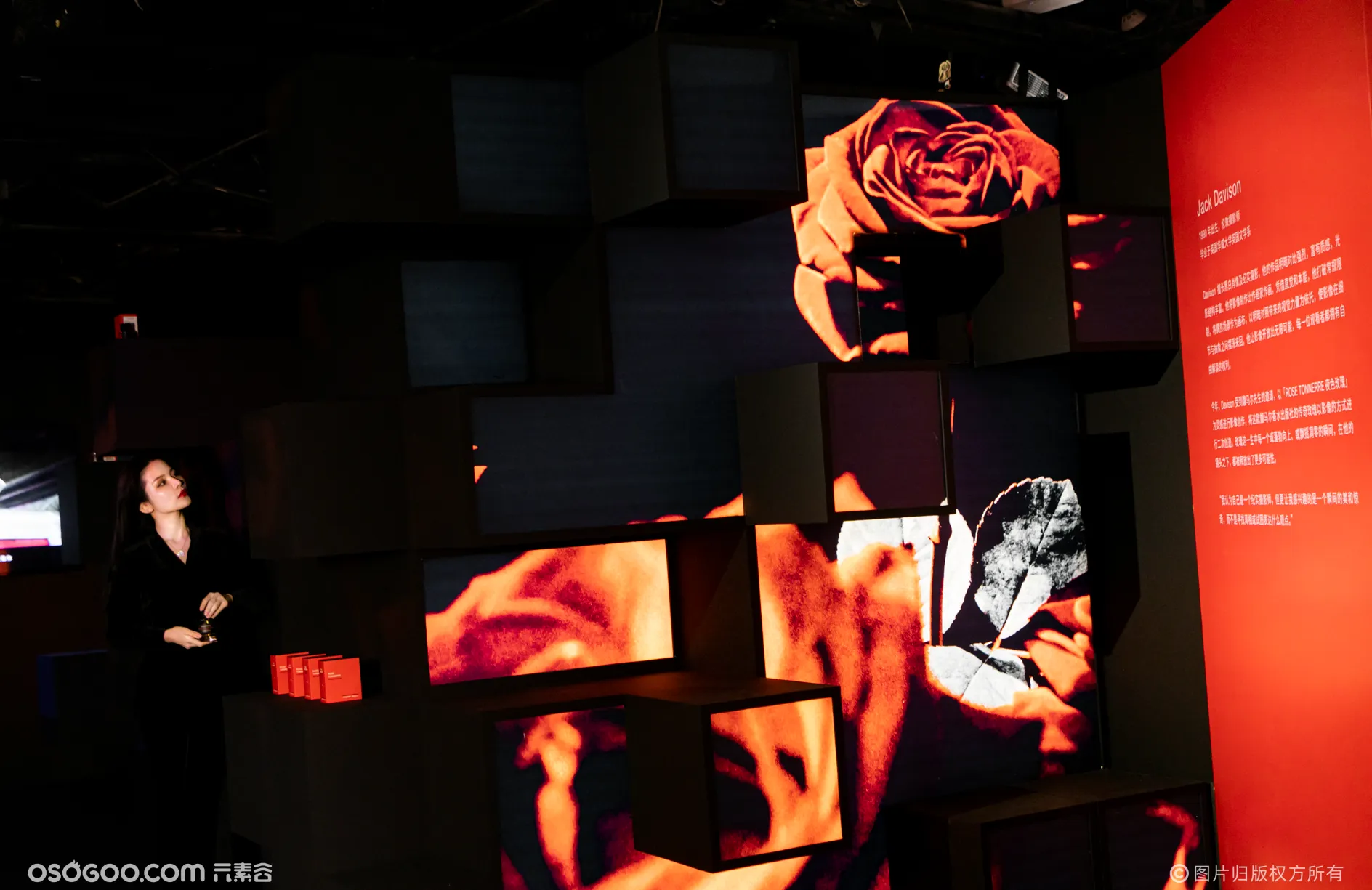 「夜色玫瑰」香氛艺术展