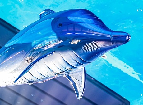 无人机表演-海豚仿生科技