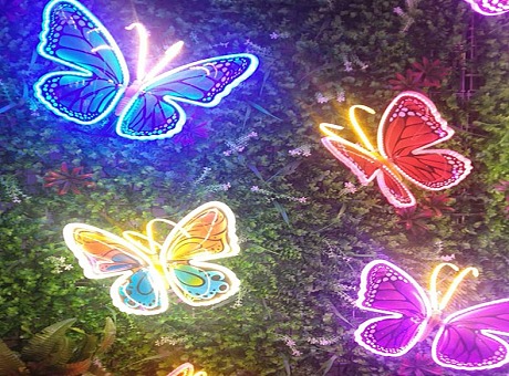 上海幕明动态蝴蝶灯 景区公园仿真动态蝴蝶灯具