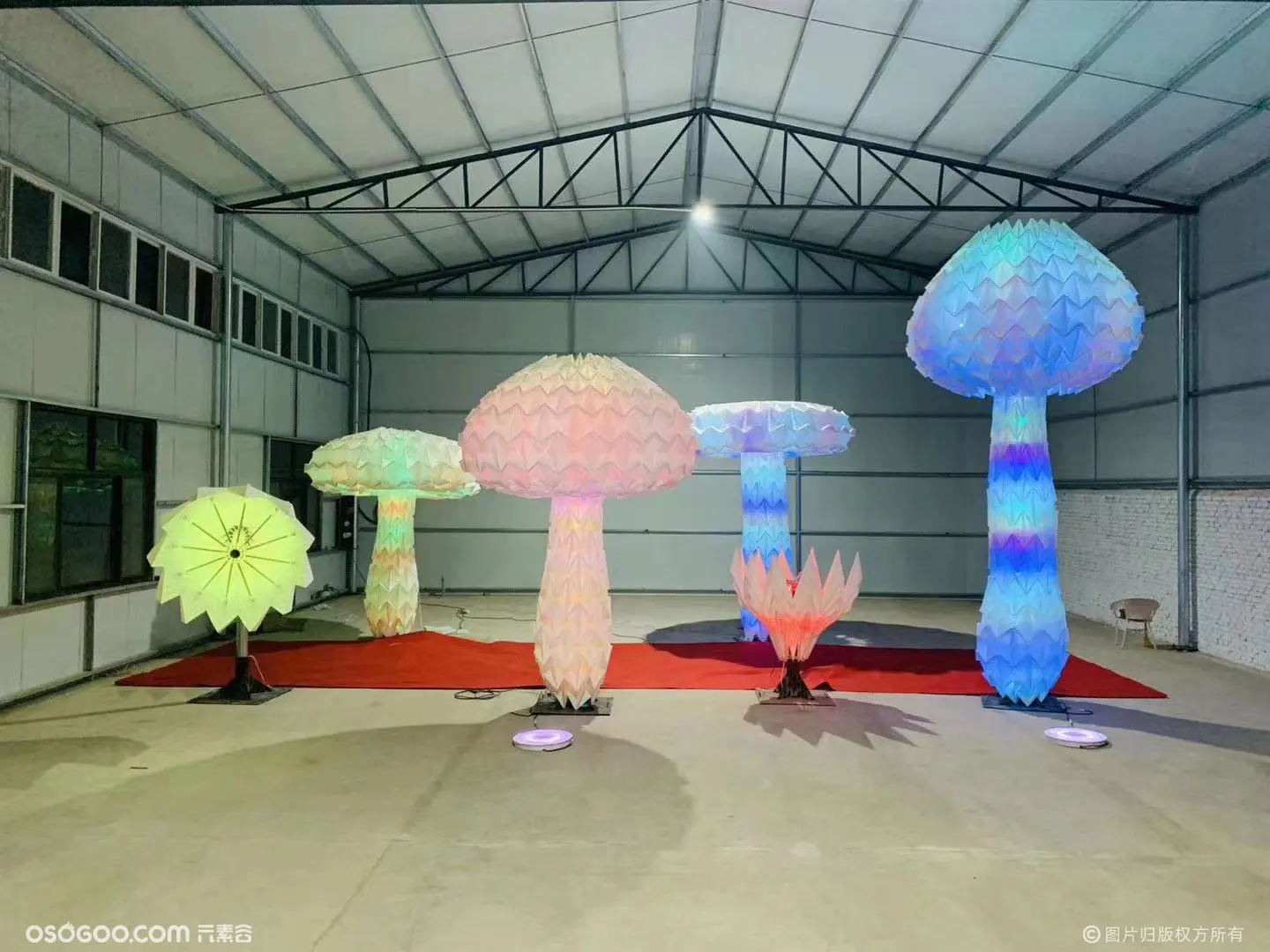 七彩互动蘑菇树 太阳花