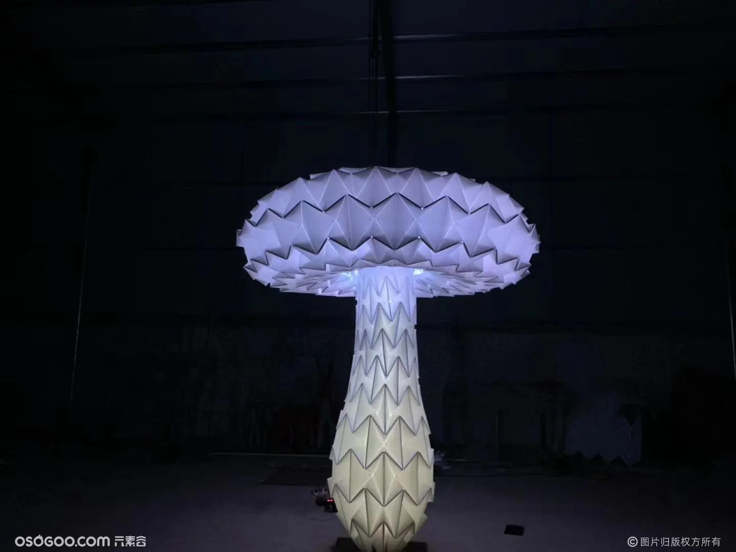七彩互动蘑菇树 太阳花