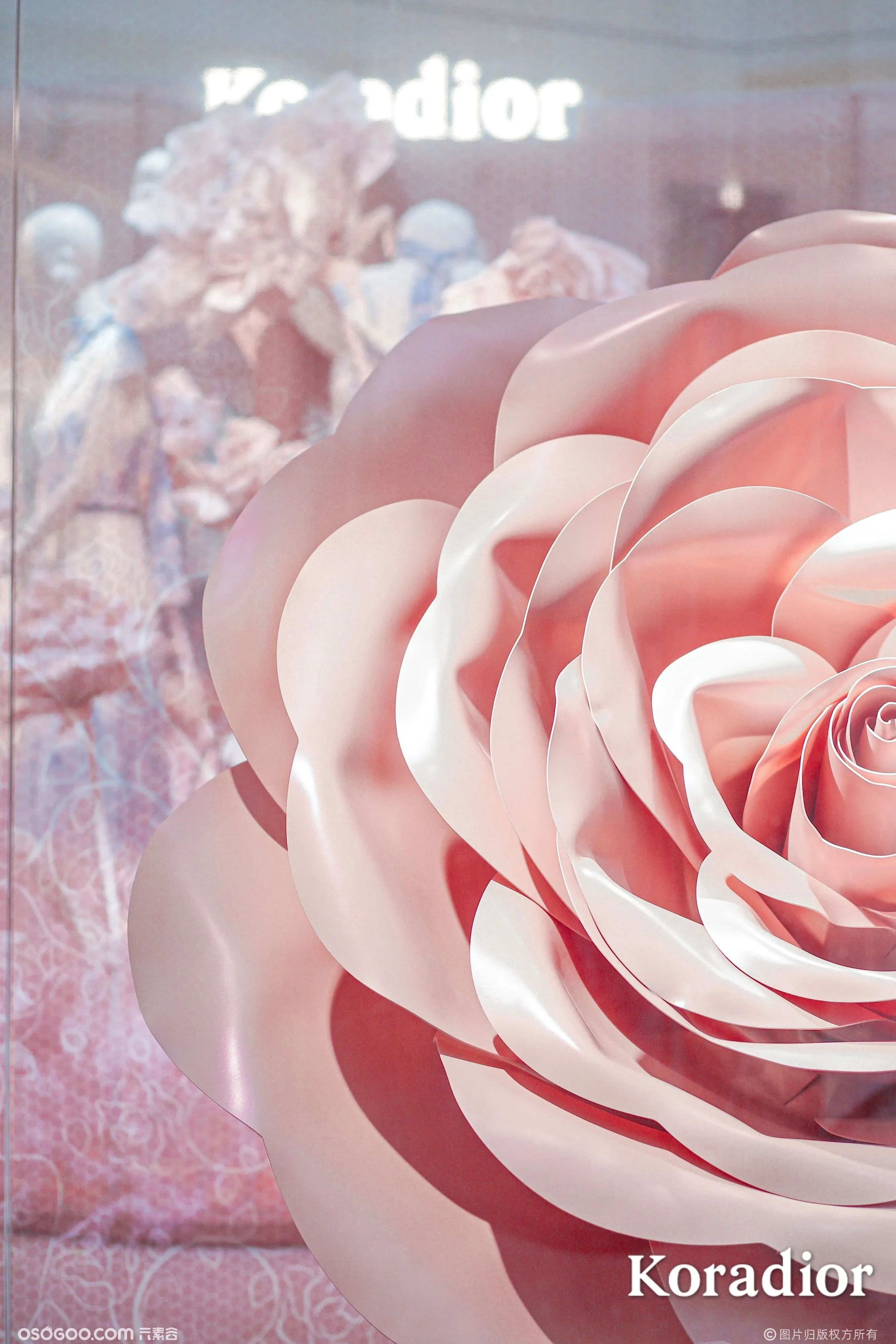 Koradior2021「绽放花园」沉浸式玫瑰主题展   