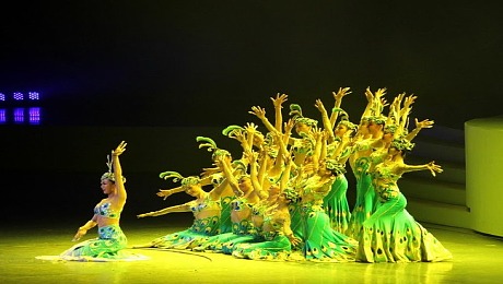 《吉祥孔雀》：中国民族民间舞傣族舞蹈节目表演，欢迎咨询预订
