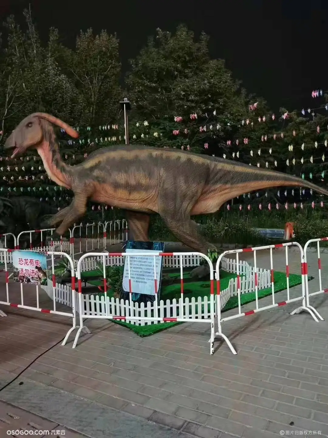 恐龙展 恐龙展览