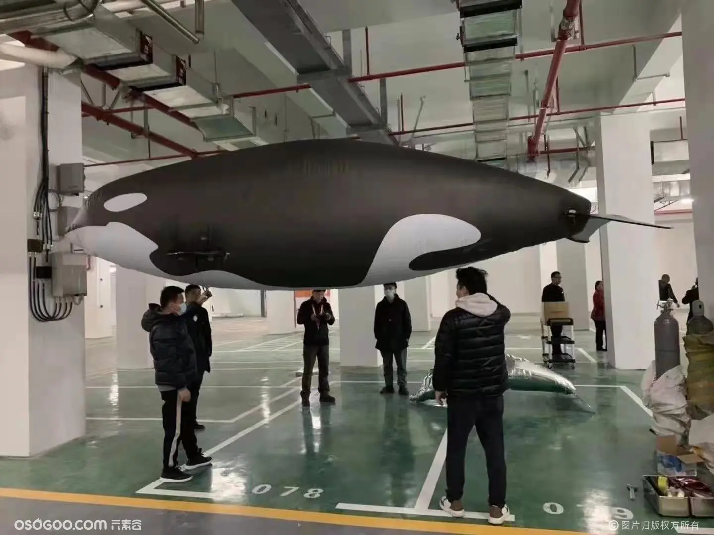 飞行的鲸鱼 飞行的海豚 软体无人机定制