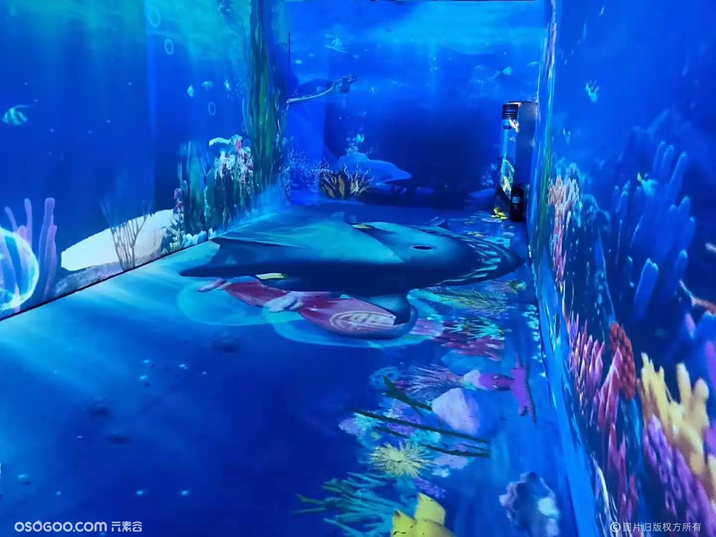 与花共舞蝶舞花海VR梦幻鲸鱼岛出租与花之森融为一体 