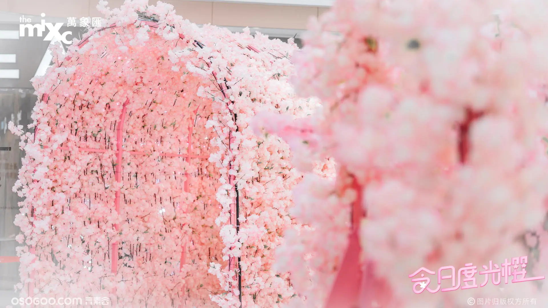 三月限定美好，打造春日主题樱花季美陈活动