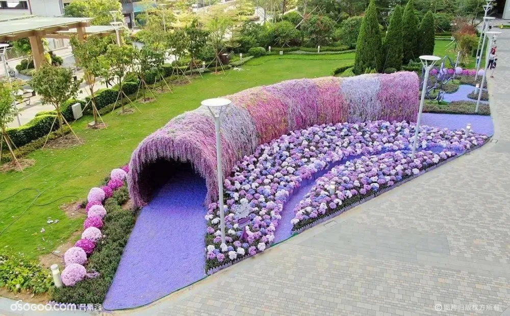  香港《紫·在北角汇》花夏祭