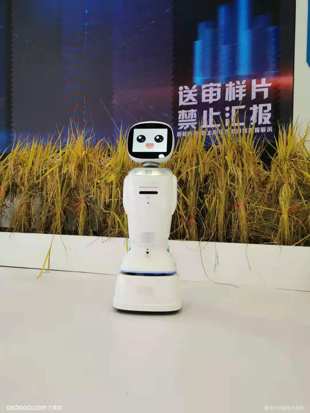 银行同款机器人 地产公司服务机器人 主持互动展厅讲解迎宾接待