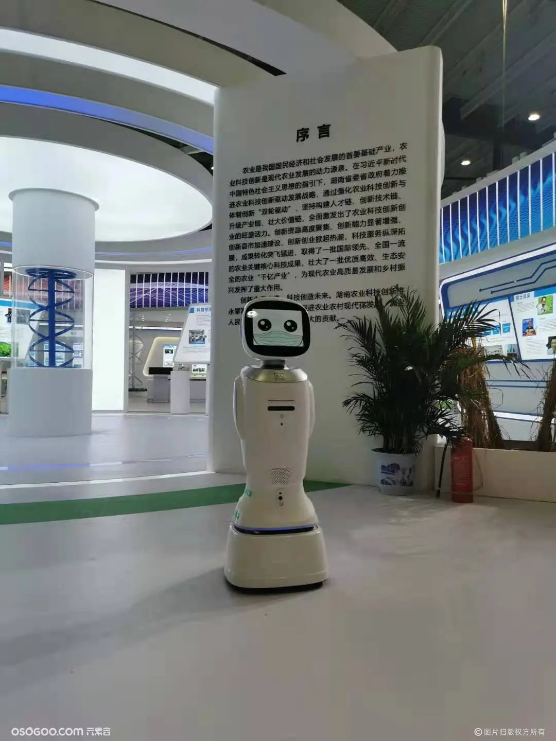 银行同款机器人 地产公司服务机器人 主持互动展厅讲解迎宾接待