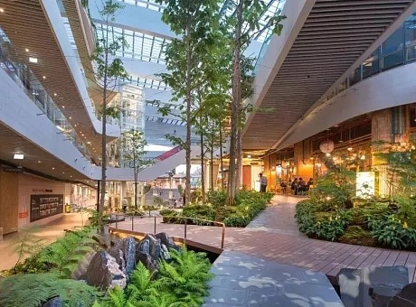 在泰国大型购物中心，“把森林搬进商场”