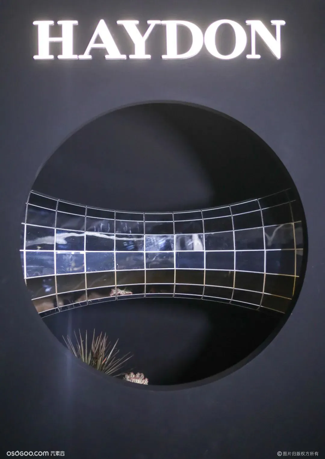 HAYDON黑洞“无垠之外” 一周年艺术展
