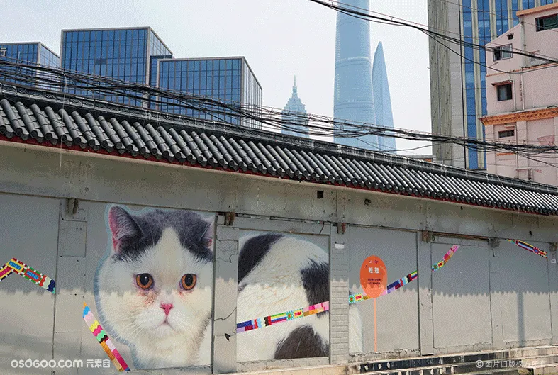 上海老街变身“外滩猫街”，打卡一站式艺术体验