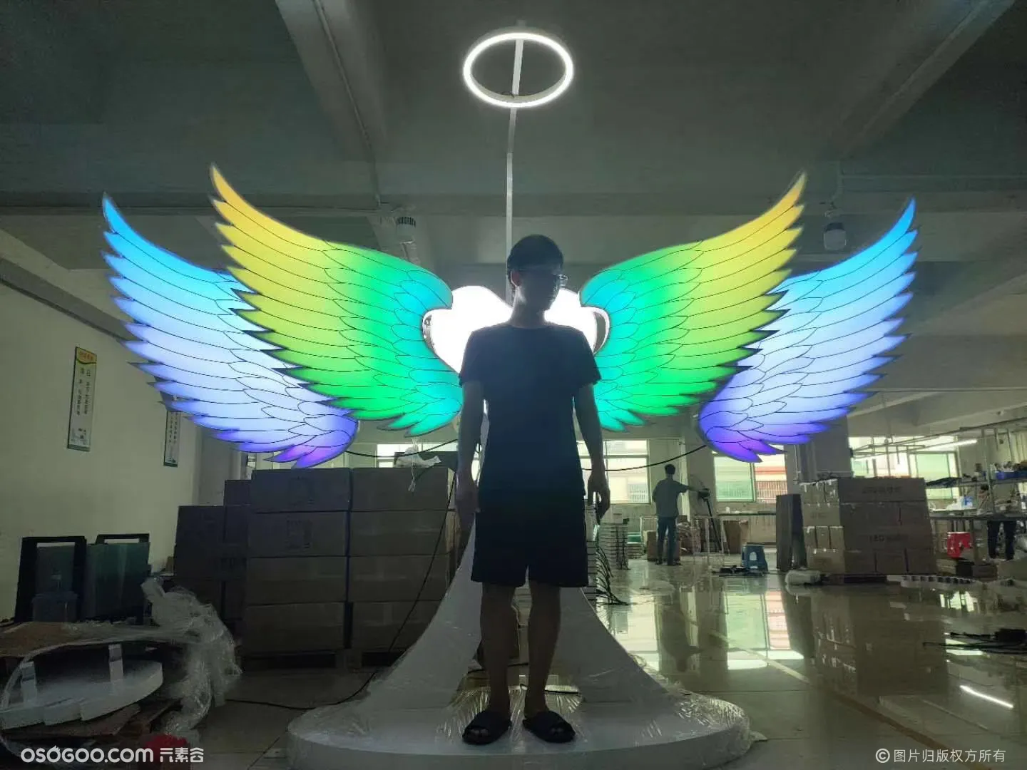 天使之翼翅膀出租出售 源头厂家直销靠谱实惠放心购买