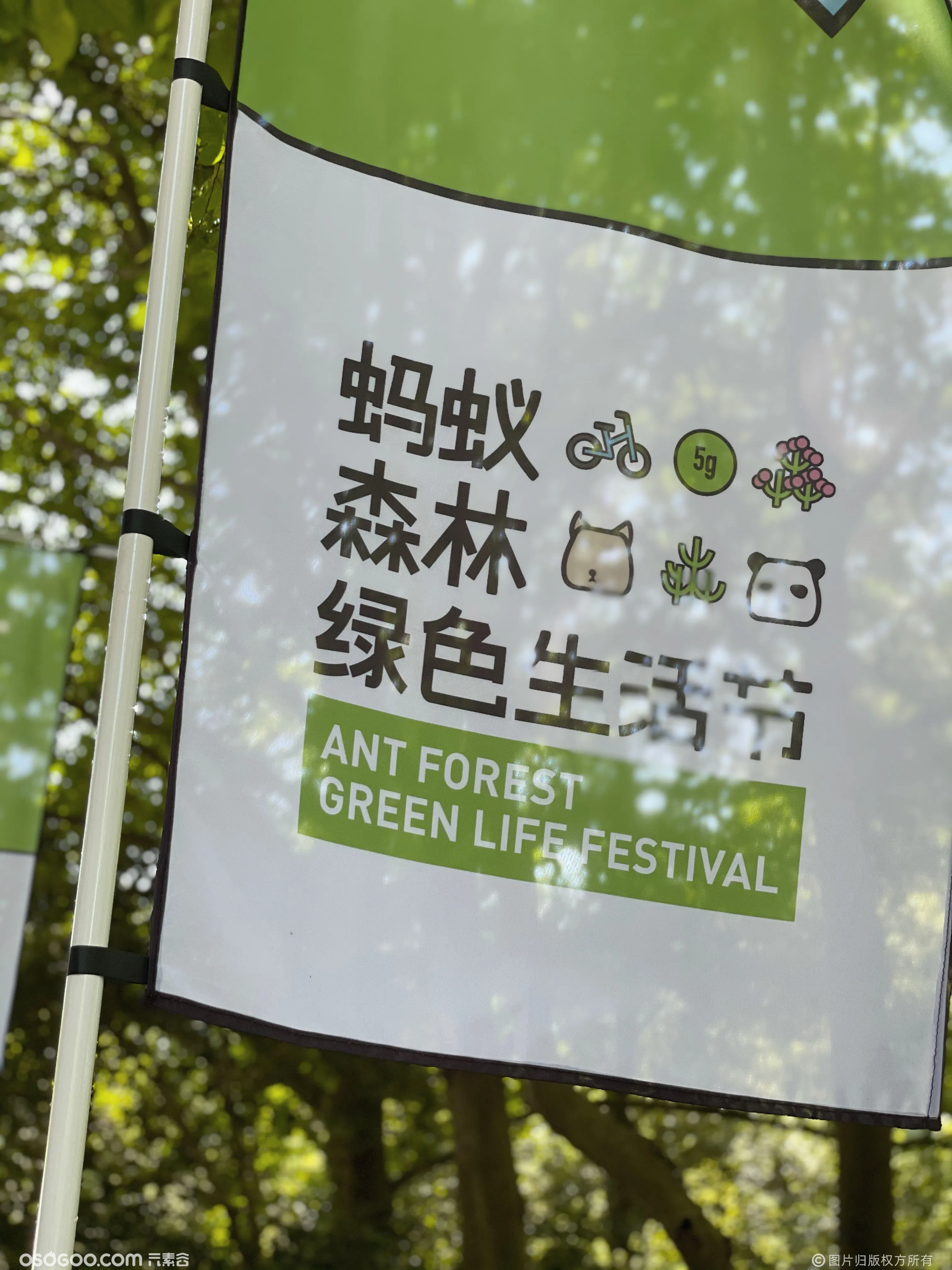 阿里巴巴集团｜蚂蚁森林绿色生活节