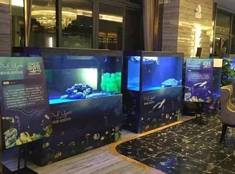 海洋展创艺海洋生物展租赁，大型海洋馆全系鱼类出租
