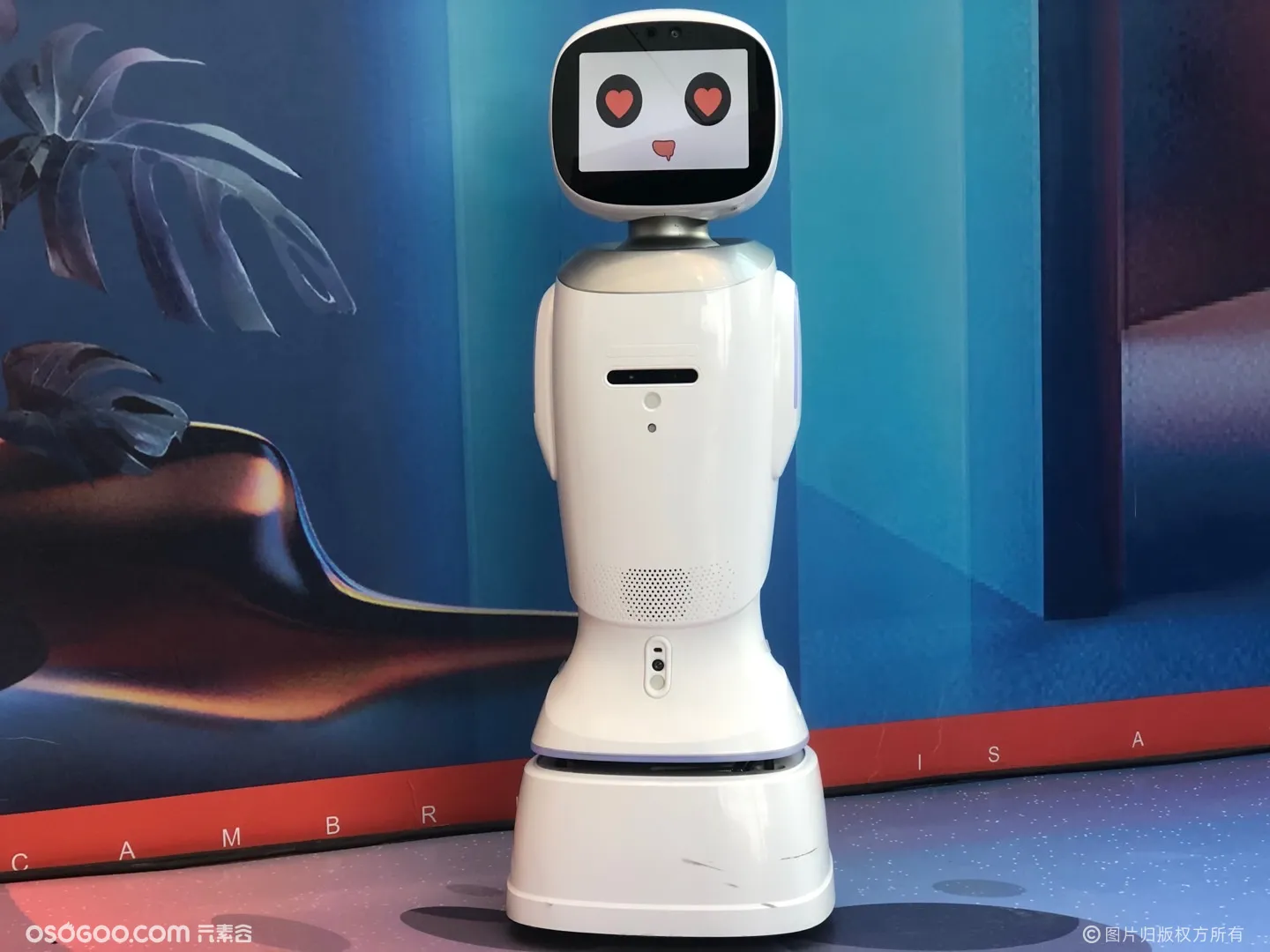 旺宝智能互动服务型机器人，迎宾接待，项目讲解等功能