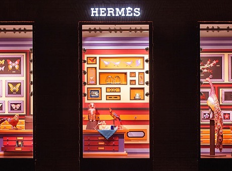 Hermès|超凡自然博物馆”主题作品