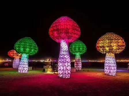 蘑菇树