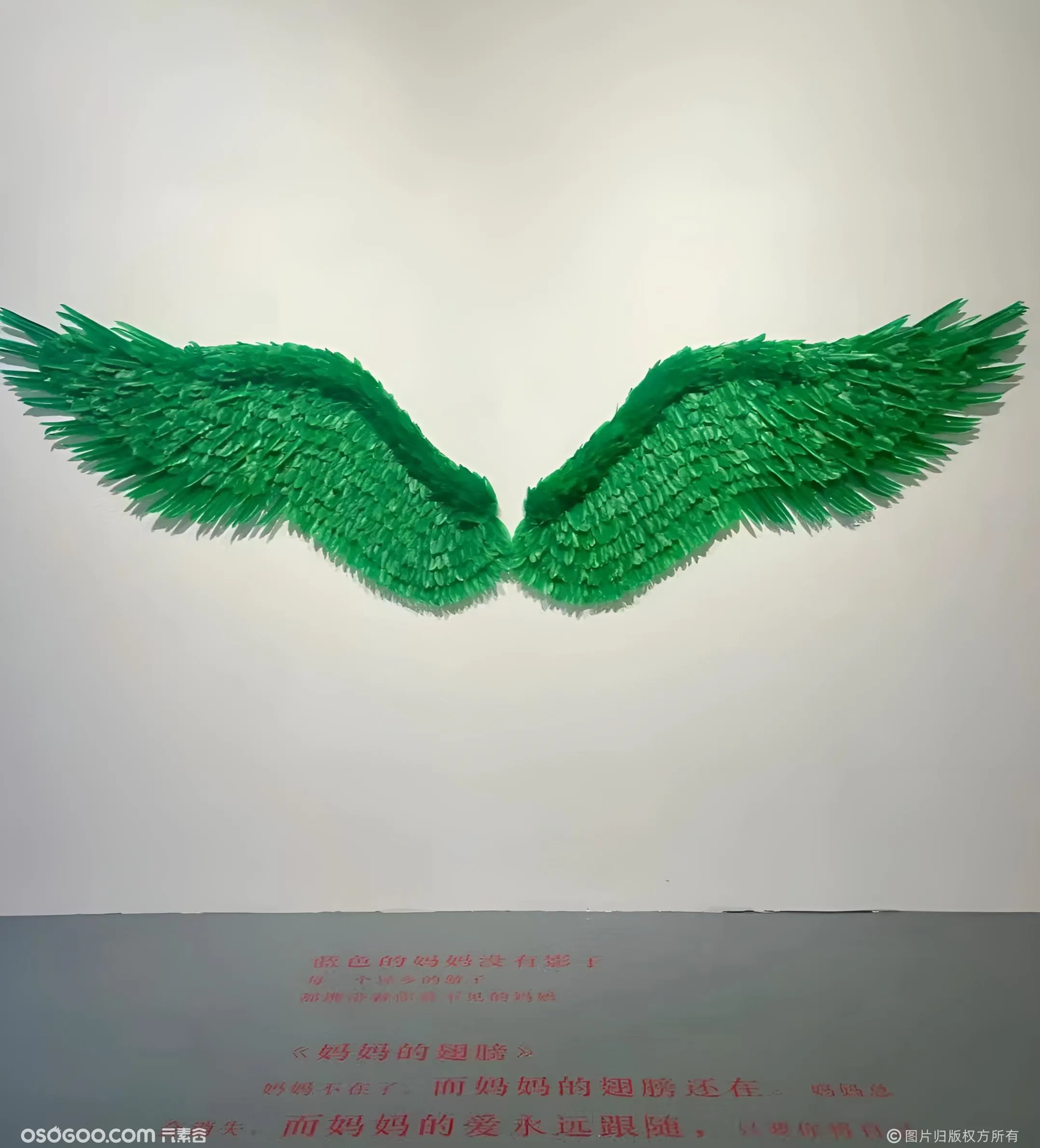 一万只鸽子从上海飞回深圳，“新童话主义：周艺文个展”开幕