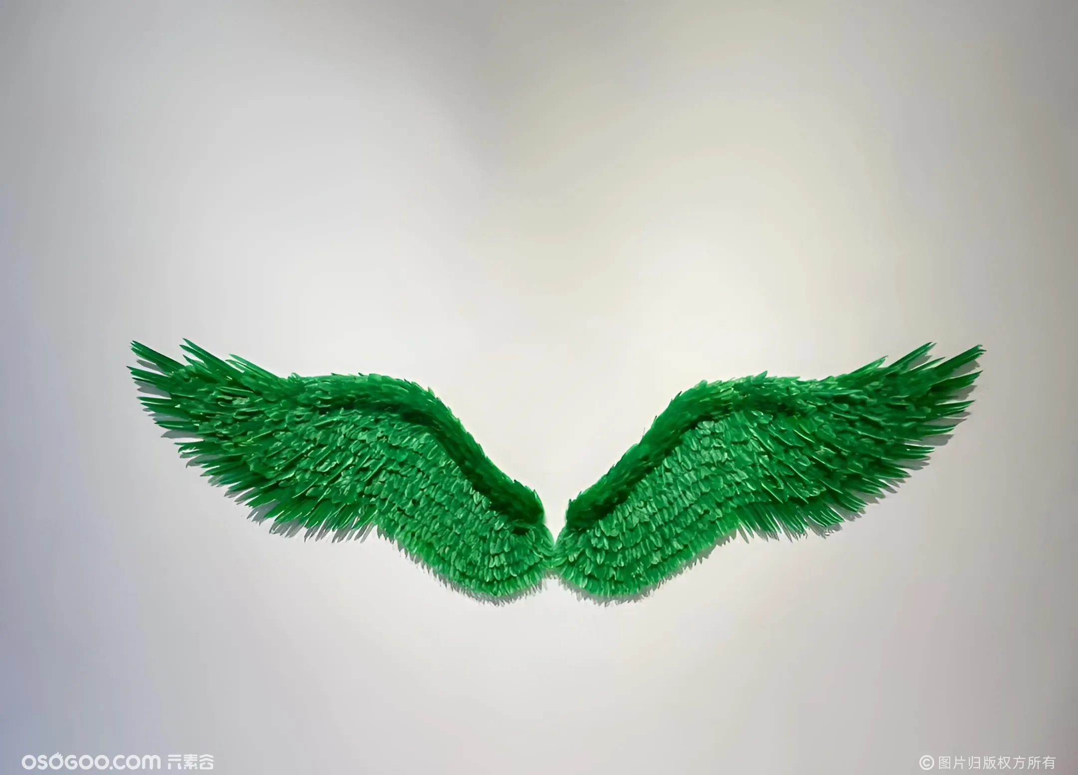一万只鸽子从上海飞回深圳，“新童话主义：周艺文个展”开幕