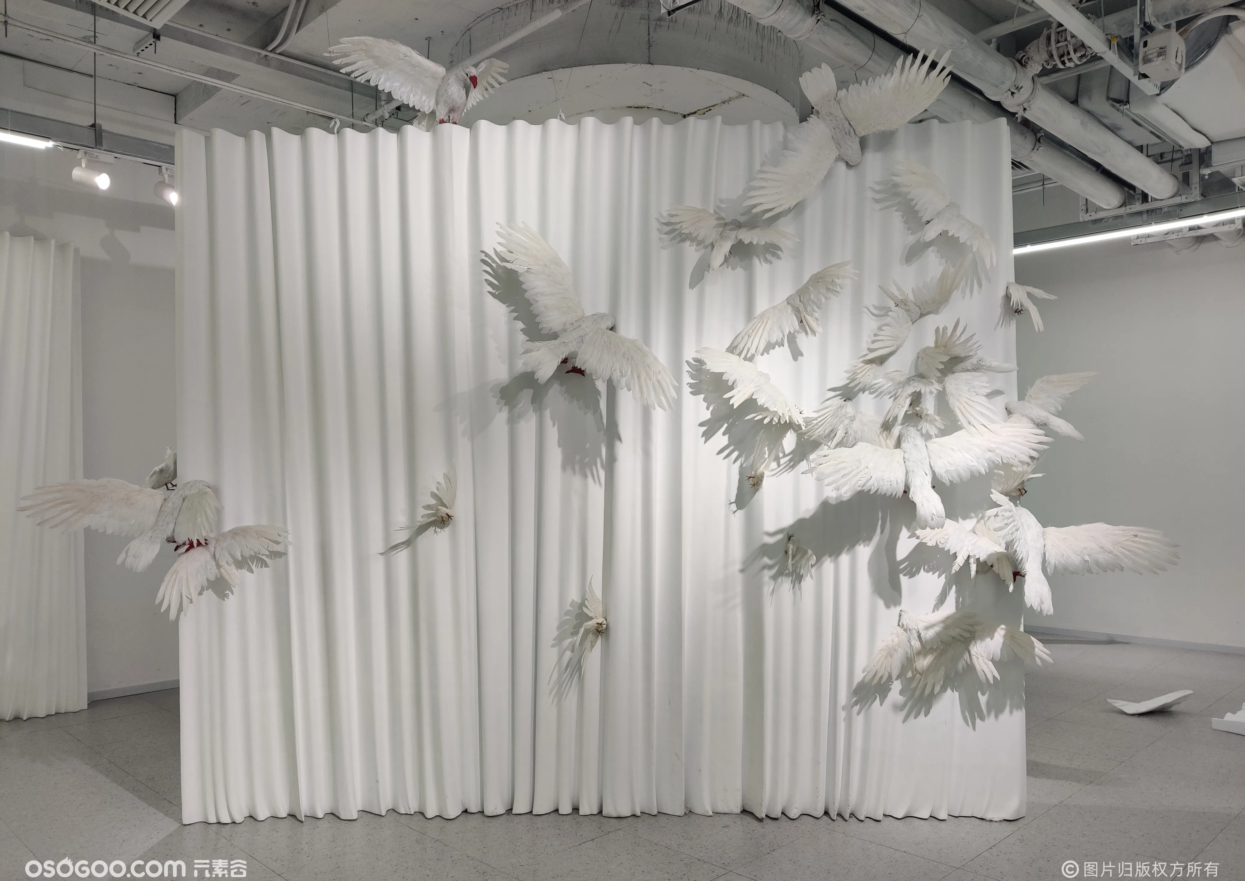 「白-无界之境」沉浸式装置艺术展