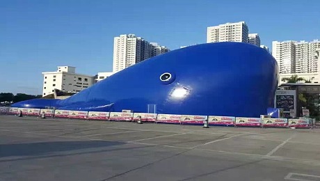 出租火爆鲸鱼岛大型海洋球池百万海洋球池制造厂家租赁