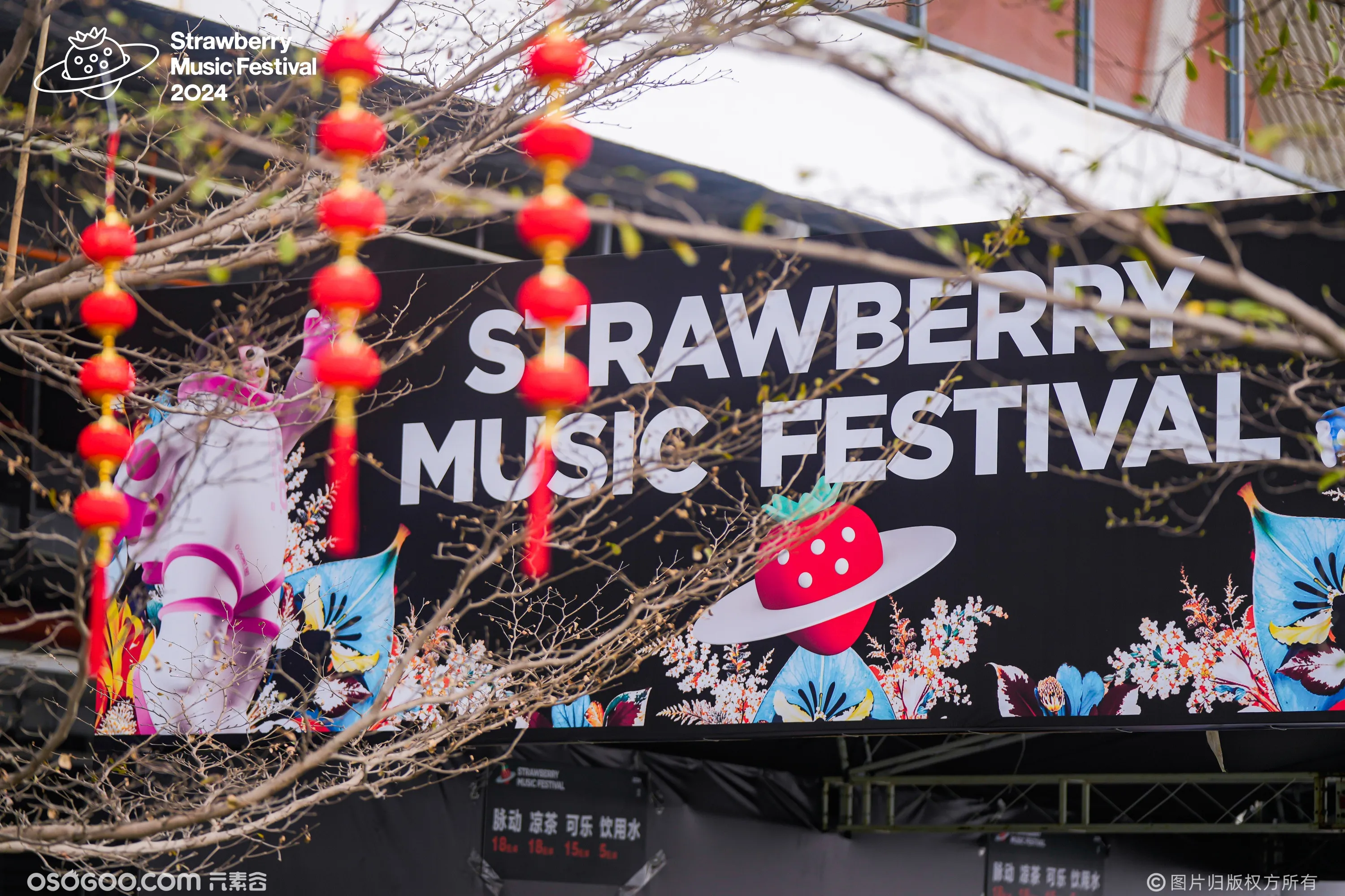春天的第一场“草莓派对”，吸引近5万歌迷打卡！