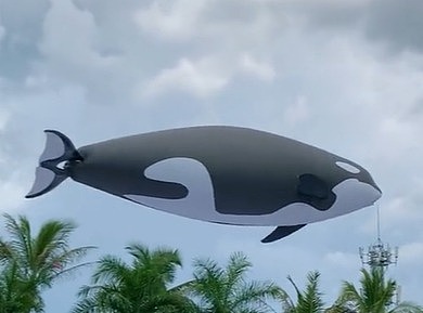 创意定制仿生类节目，海豚无人机飞行表演