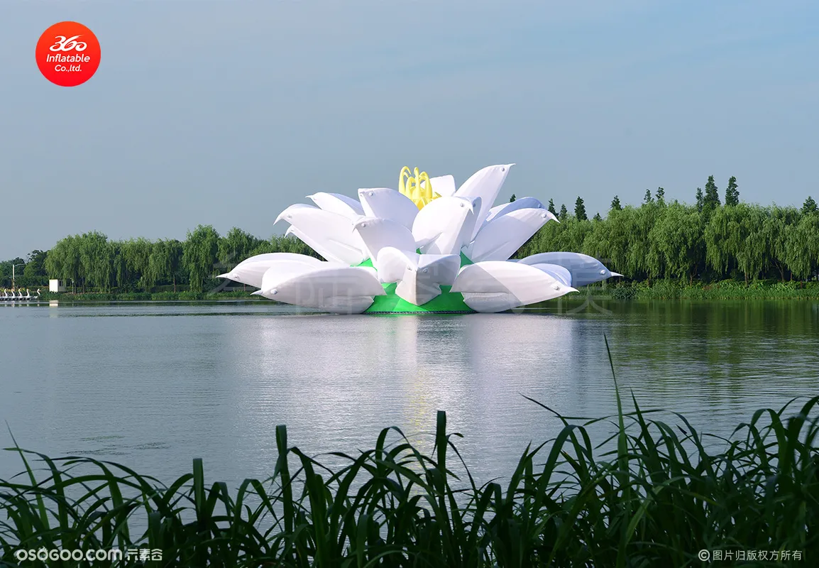 30米充气大莲花在上海青浦大莲湖展示、由著名设计师陈逸明设计