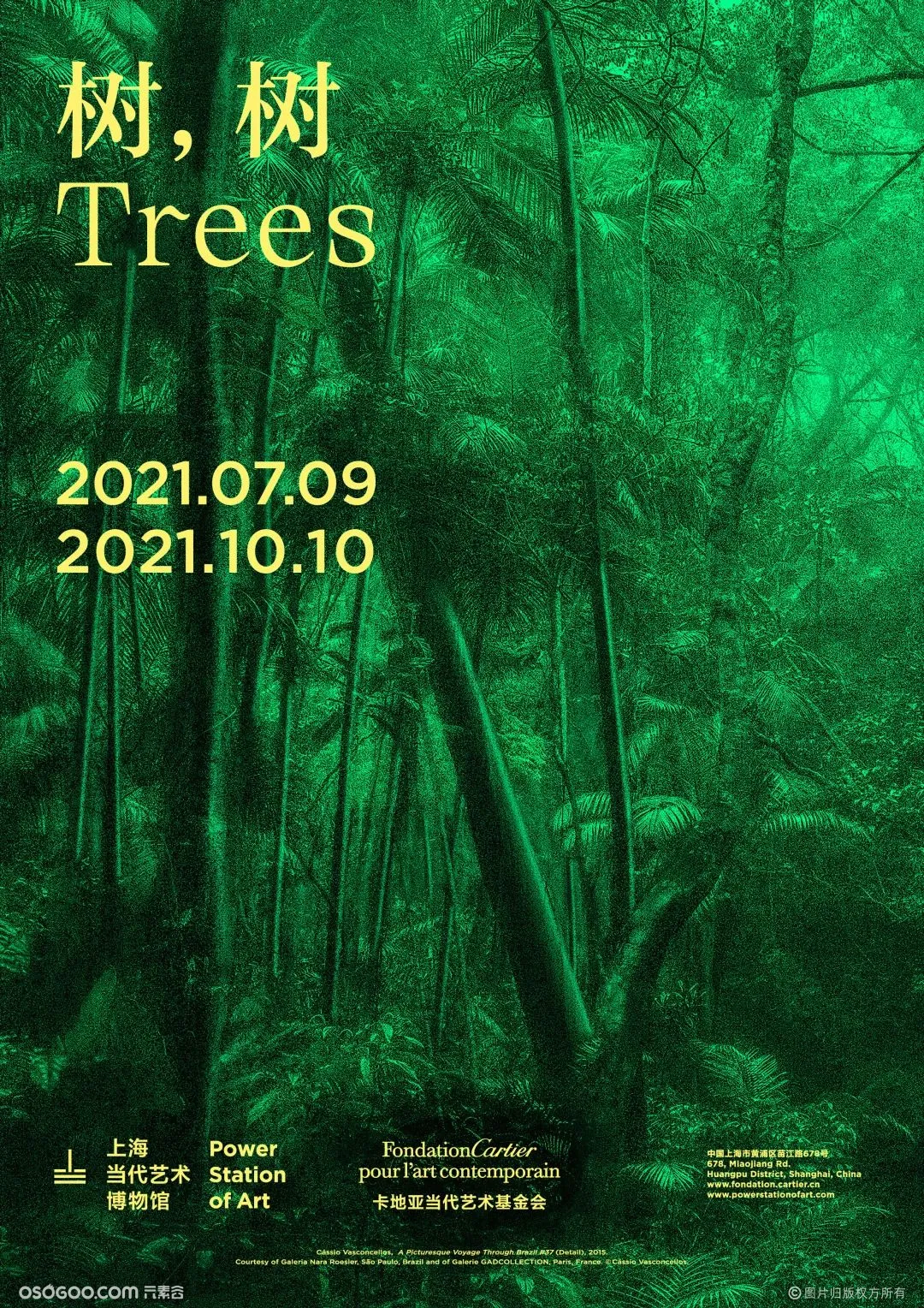 「树，树 Trees」艺术展览