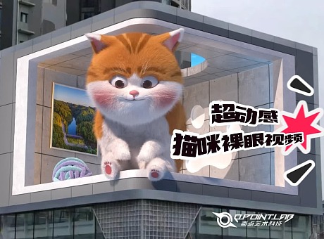 贵州毕节超动感猫咪裸眼视频 