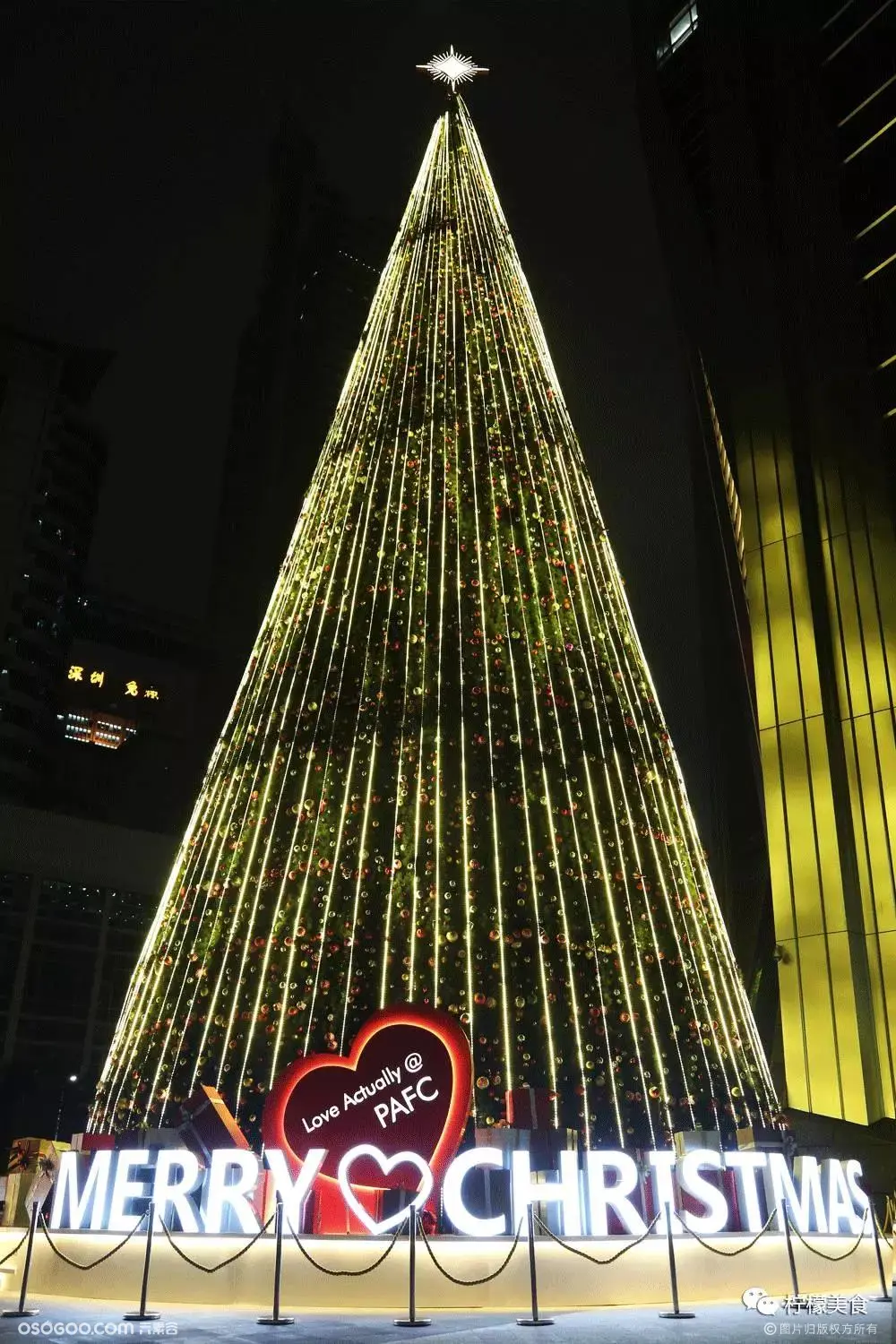 深圳最强圣诞树地图出炉！看这一份就够了！
