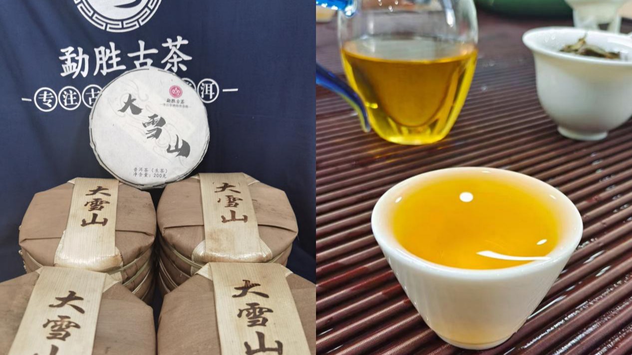 茶博会—2023上海国际茶业博览会