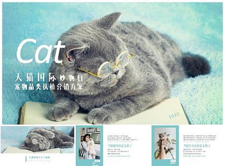 2019天猫国际宠物品类营销方案